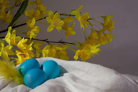 Easter eggs in a beautiful and simple composition with decorationsの写真素材