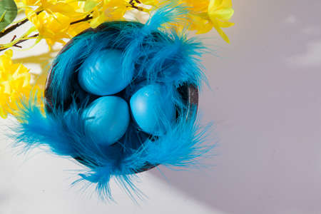 Easter eggs in a beautiful and simple composition with decorationsの写真素材