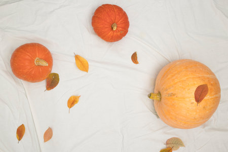 Pumpkin ready for halloween celebration, mockup for postcard and invitation or advertisement, background, backdrop with empty spaceの写真素材