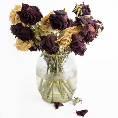 Withered bouquet of flowers, red and dry roses on a white background
