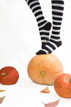 Slender female legs in striped stockings with pumpkins on a white background, a blank for an invitation or postcardの写真素材