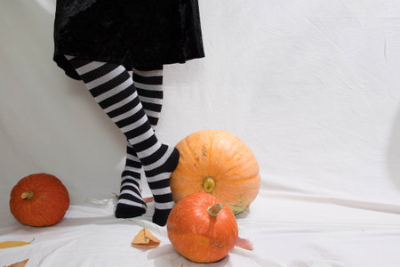 Slender female legs in striped stockings with pumpkins on a white background, a blank for an invitation or postcardの写真素材