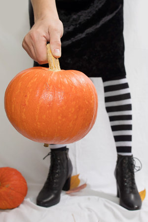 Slender female legs in striped stockings with pumpkins on a white background, a blank for an invitation or postcardの写真素材