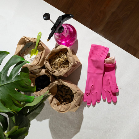 There is a table adorned with pink gloves and a plant placed on top, creating a charming decor with...