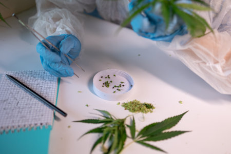 A laboratory technician in a protective suit collects and examines the seeds of a medical cannabis plant and writes the information in a notebook. High quality photoの写真素材