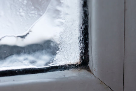 Years on the window glass in the house after condensation of moisture due to the temperature difference outside and inside the room, a defect in construction. High quality photoの写真素材