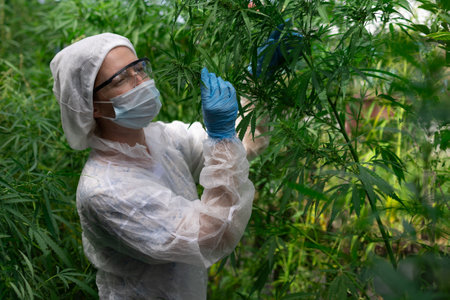 A diligent researcher, dressed in full protective gear, meticulously observes various plants in a controlled greenhouseの写真素材