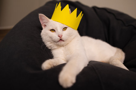A charming white cat, elegantly adorned with a bright yellow crown, is leisurely lounging on a cozy bean bagの写真素材