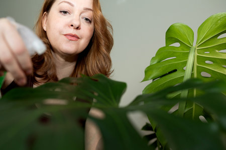 A woman diligently tending to her indoor plants, showcasing vibrant green leaves, creating a nurturing atmosphereの写真素材