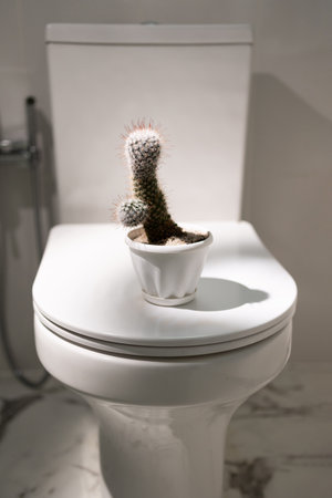 Cactus on the toilet bowl, is a concept that demonstrates delicate health issuesの写真素材