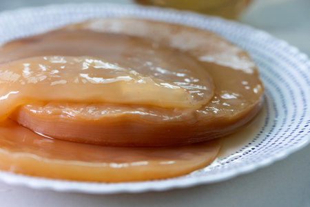 A closeup image of a translucent Kombucha SCOBY, showcasing its layered texture and fermentation...