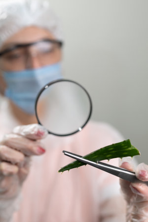 A researcher in protective gear analyzes an aloe leaf with a magnifying glass, highlighting the focus on scientific study and potential applications of the plant in research settings.の写真素材