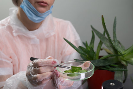 A researcher in a protective suit and mask carefully examines aloe vera in a laboratory setting. The plant and gel are analyzed for their applications in health and wellness research.の写真素材