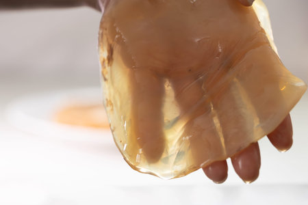 A person is holding a translucent scoby, the key ingredient for brewing kombucha. This trendy...