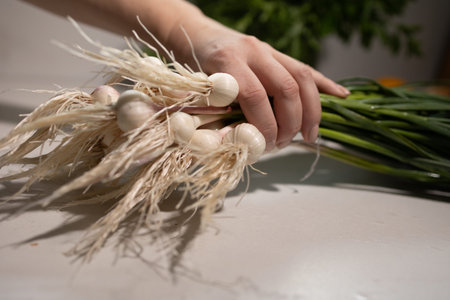 A hand is seen holding a bundle of fresh garlic and scallions recently purchased at the local...