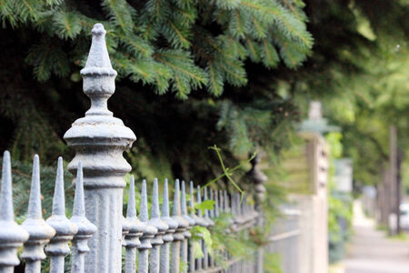 Metal fencing and green firsの写真素材