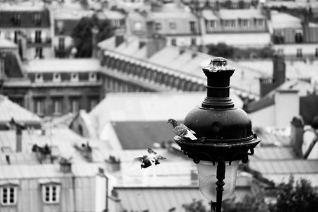 Pigeons and a lantern in Parisの写真素材