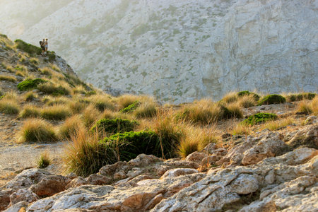 Tourists on the Cap de Formentor on Mallorca, Spainの写真素材