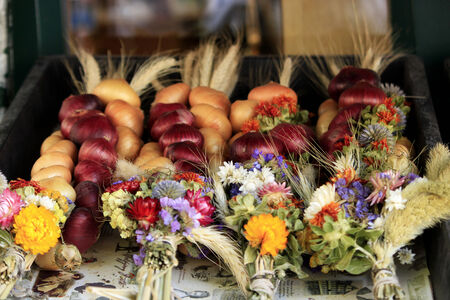Onion in the market in Weimar, Germanyの写真素材