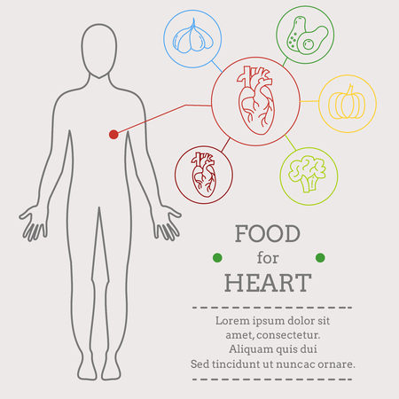 Food for heart. Healthy food with organic food infographic. Food trend health care concept. Medical info. Instructions for each.のイラスト素材