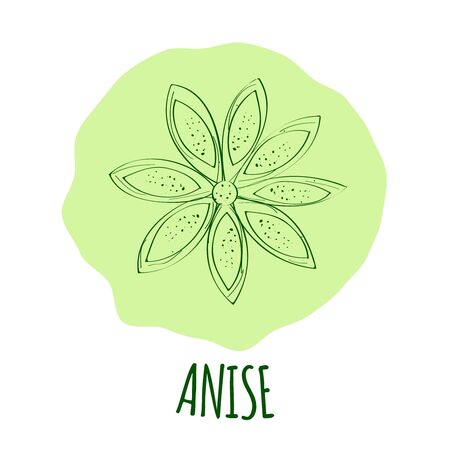 Hand drawn green anise branch with leaves isolated on a soft green background. Cooking ingredient for design. Spicy herbs seasoning. illustrationのイラスト素材