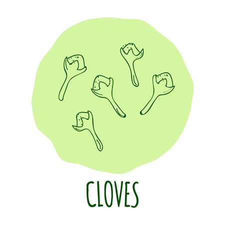green cloves isolated on a soft green background. Cooking ingredient for design. Spicy herbs seasoning. illustrationのイラスト素材