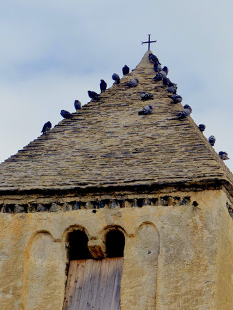 A flock of Pigeons on the roof of the old Church