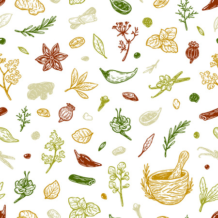 Pattern with hand drawn vector spices and herbs. Medicinal, cosmetic, culinary plants. Seeds, branches, flowers and leaves. Different types of condiment.のイラスト素材