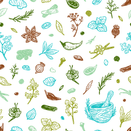 Pattern with hand drawn vector spices and herbs. Medicinal, cosmetic, culinary plants. Seeds, branches, flowers and leaves. Different types of condiment.のイラスト素材