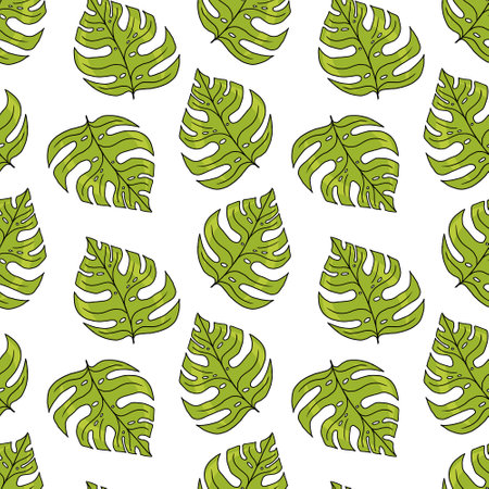 Vector Seamless Pattern with Monstera Leaves in Cartoon Style on White .のイラスト素材