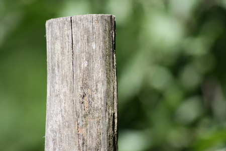 big wooden brick, green backgroundの写真素材