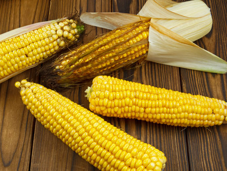 ripe corn on wooden table
