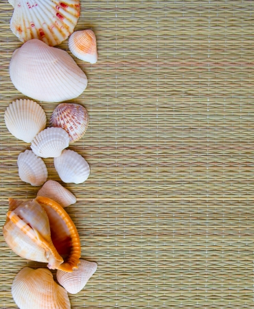 Background (texture) a beige rug from straw with sea cockleshellsの写真素材