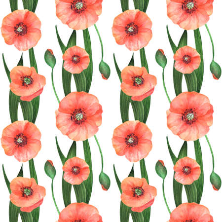 Watercolor flowers red poppy with green leaves seamless pattern. Hand drawn floral seamless pattern on white.の写真素材