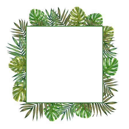 Tropical green foliage square frame. Hand drawn watercolor floral frame.の写真素材