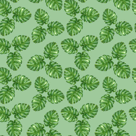 Hand drawn watercolor tropical seamless pattern with green monstera leaves.の写真素材