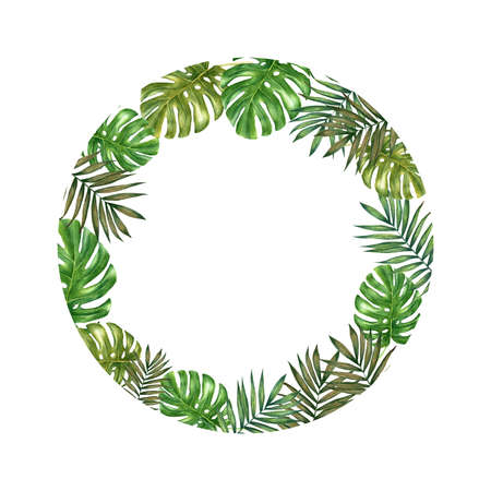 Watercolor frame made of palm and monstera leaves.の写真素材