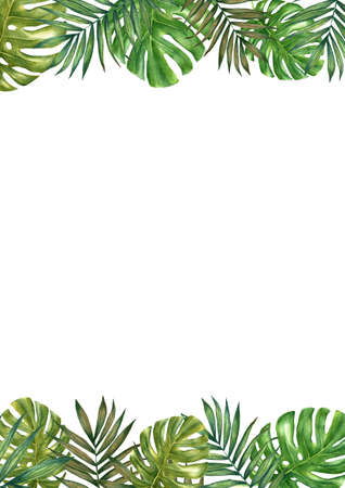 Watercolor frame with tropical leaves.の写真素材
