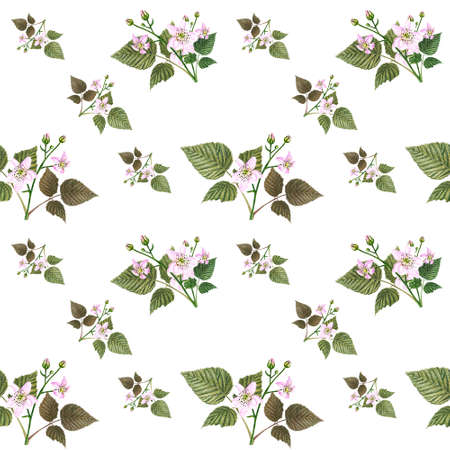 Watercolor pink flowers with leaves seamless pattern. Hand drawn floral pattern on a white background.の写真素材