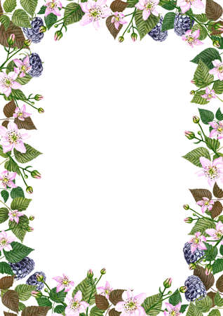 Watercolor floral frame with berries, flowers and leaves. Hand drawn illustration.の写真素材