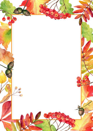 Frame with fall autumn colorful leaves on white background. Floral frame made of hand drawn watercolor fallen leaves.の写真素材
