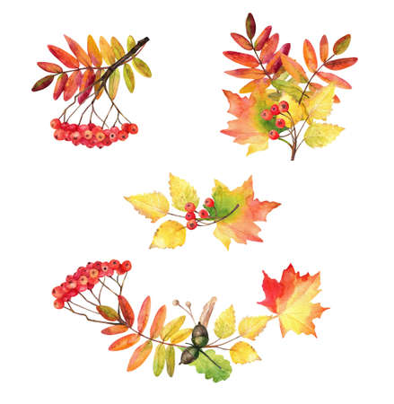 Watercolor set of autumn leaves composition. Autumn design.の写真素材