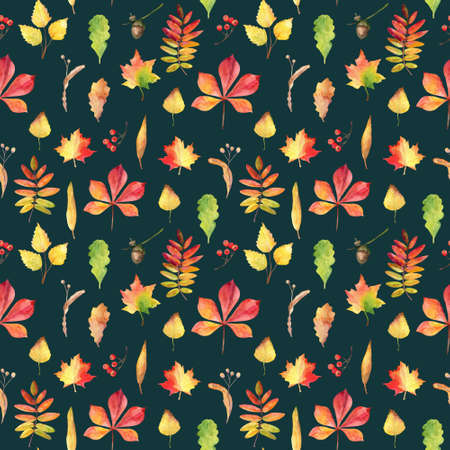 Seamless pattern with hand drawn watercolor autumn leaves.の写真素材