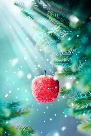 Christmas Card with Red Apple on the Branchの写真素材