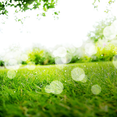 Background with Green Summer Landscape