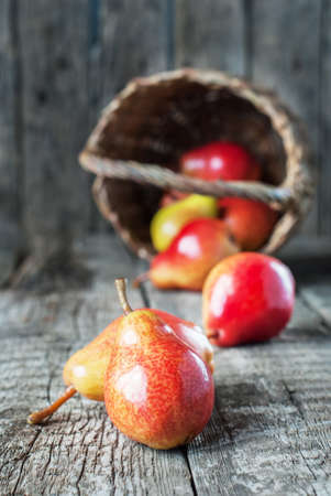 Still Life with Pears on the dark wooden tableの写真素材