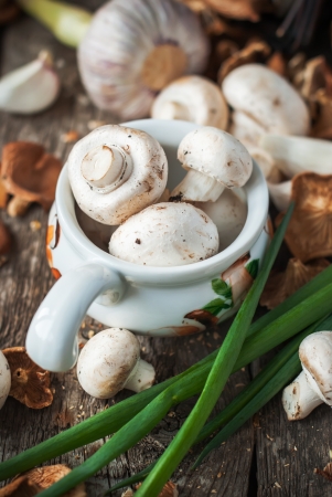 Set of mushrooms for soup, on the wooden tableの写真素材