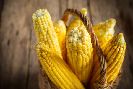 Fresh Corn in Basket on the wooden background, selective focus, horizontal imageの写真素材