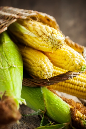 Fresh Sweet Corn on the wooden table, selective focusの写真素材