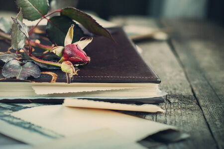Album with rose, toned pictureの写真素材
